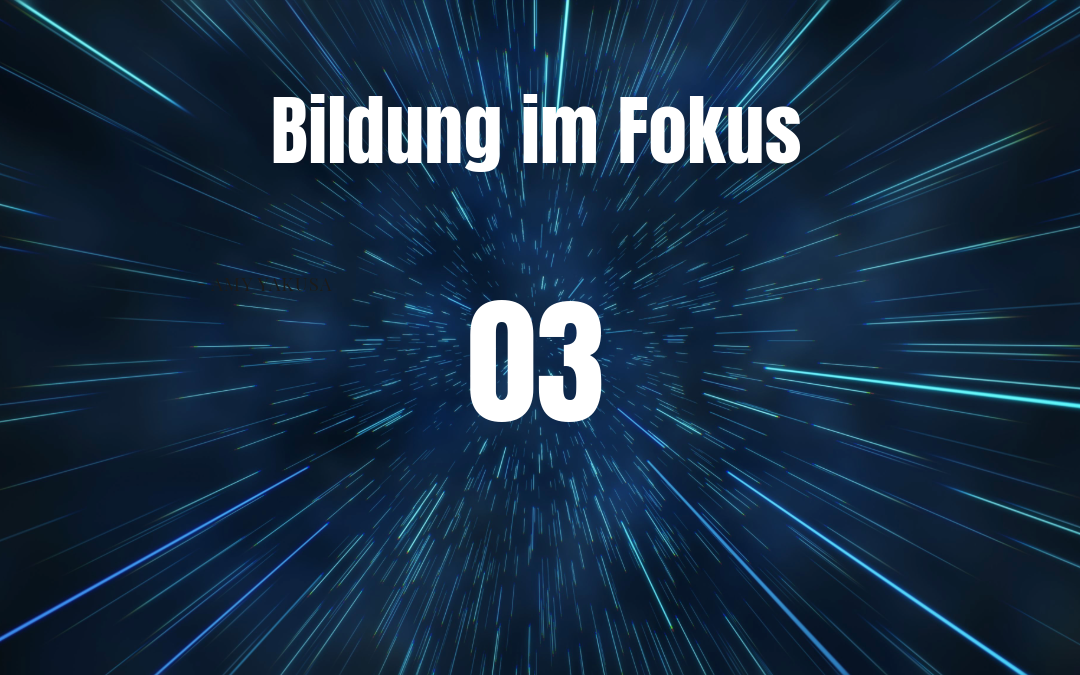Bildung im Fokus 03